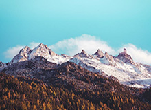 WTT总决赛 孙颖莎伤退蒯曼晋级总决赛女单决赛