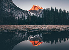 WTT总决赛 孙颖莎伤退蒯曼晋级总决赛女单决赛